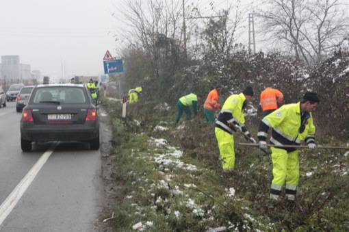 Yara, ricerche 2 dicembre - 2