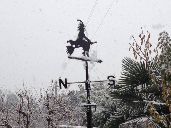 Neve, le prime foto dei lettori