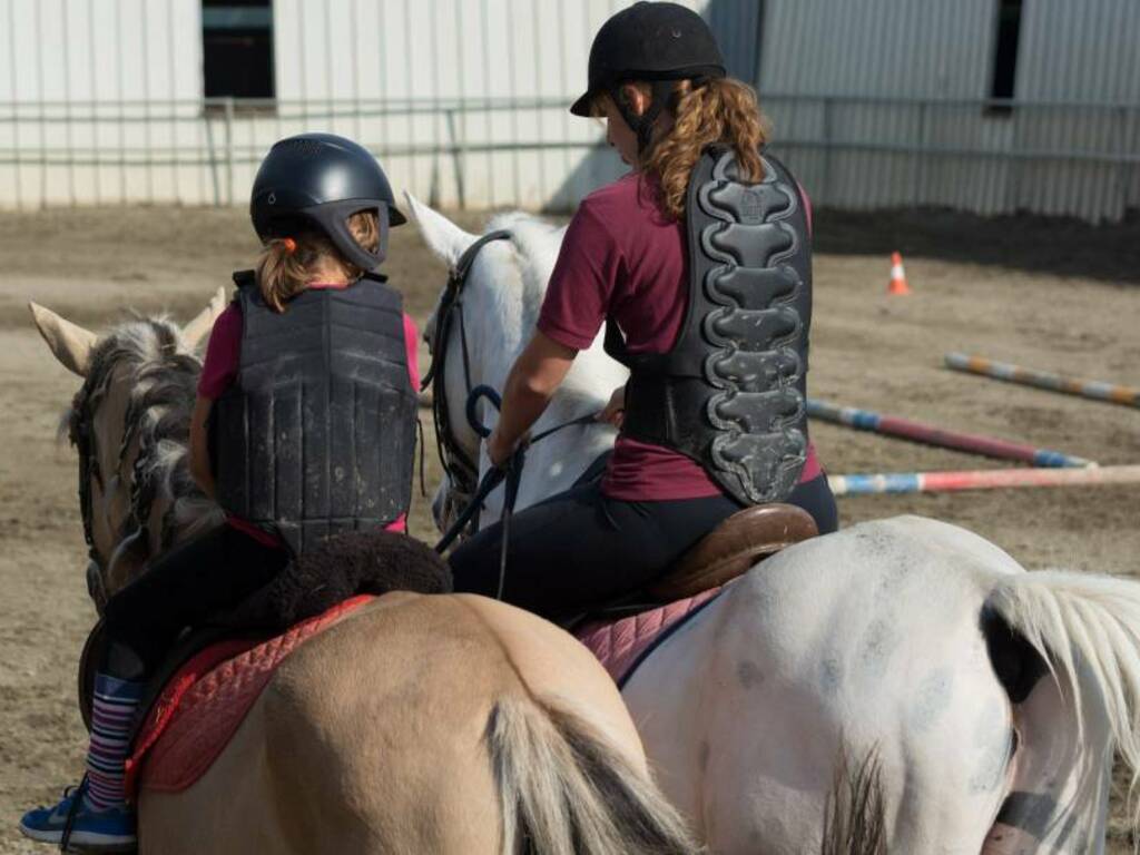 LA TESTIERA - ALCUNE COSE DA SAPERE - Addestramento del Cavallo Sportivo