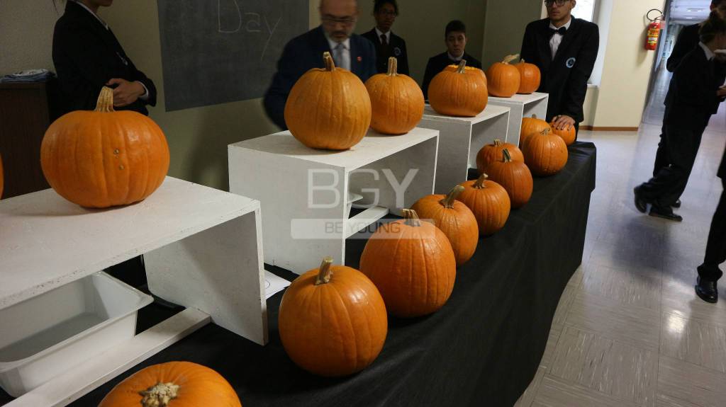 Zucca di halloween Fondazione ISB