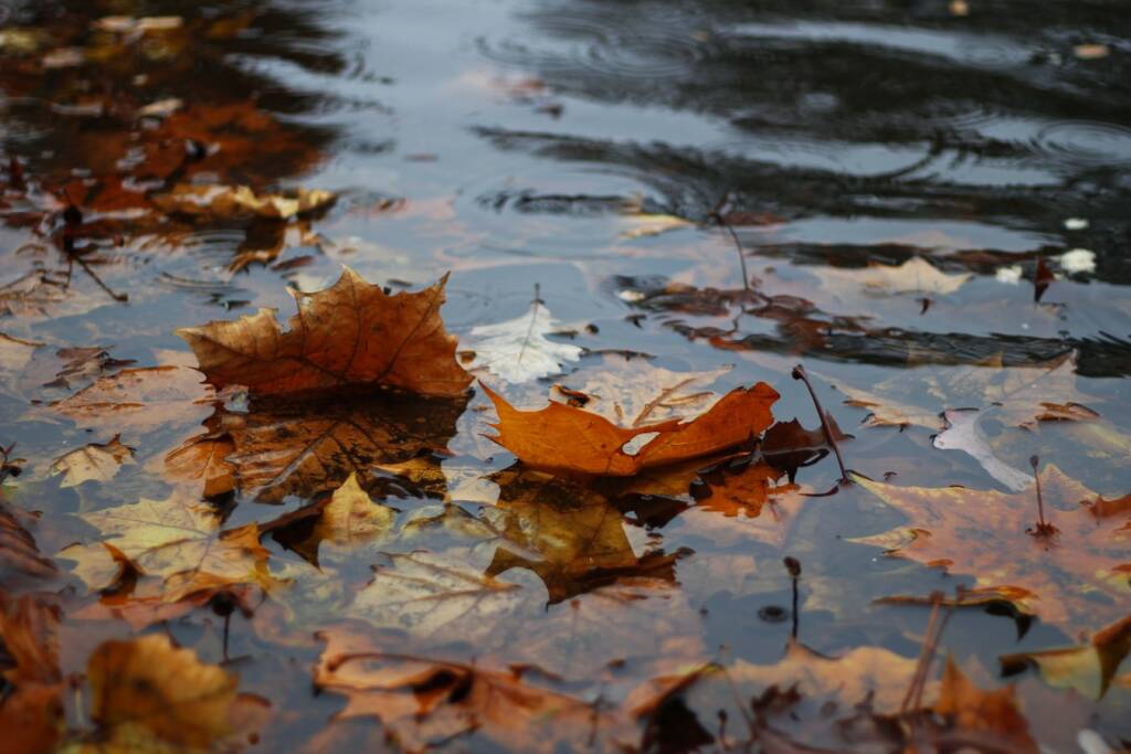 L’autunno sul