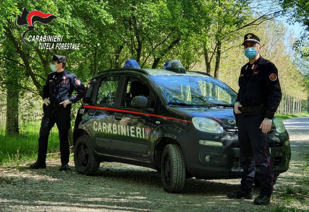 carabinieri forestali