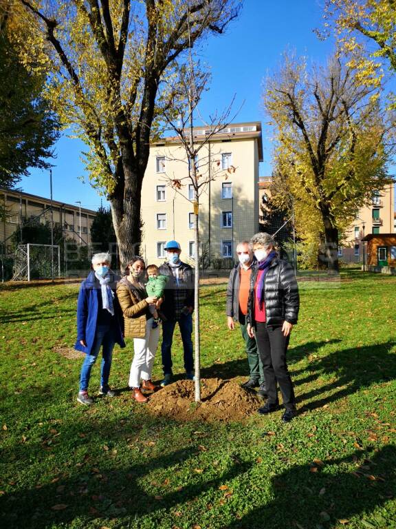 Albero donato al Comune di Bergamo