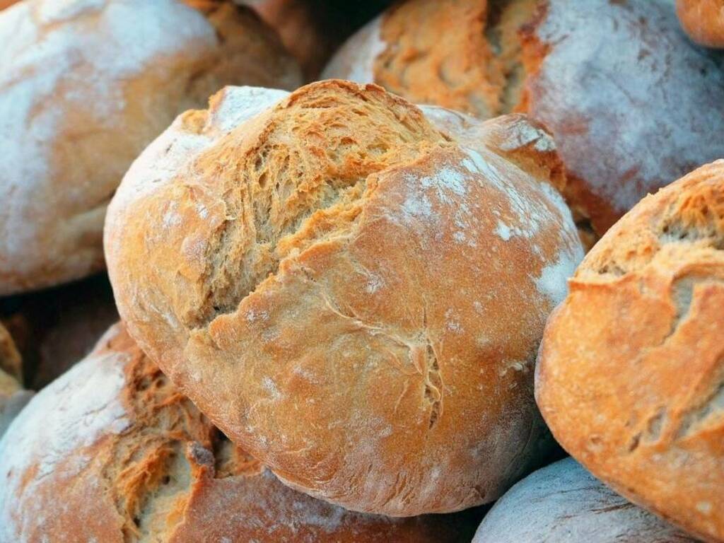 Pane