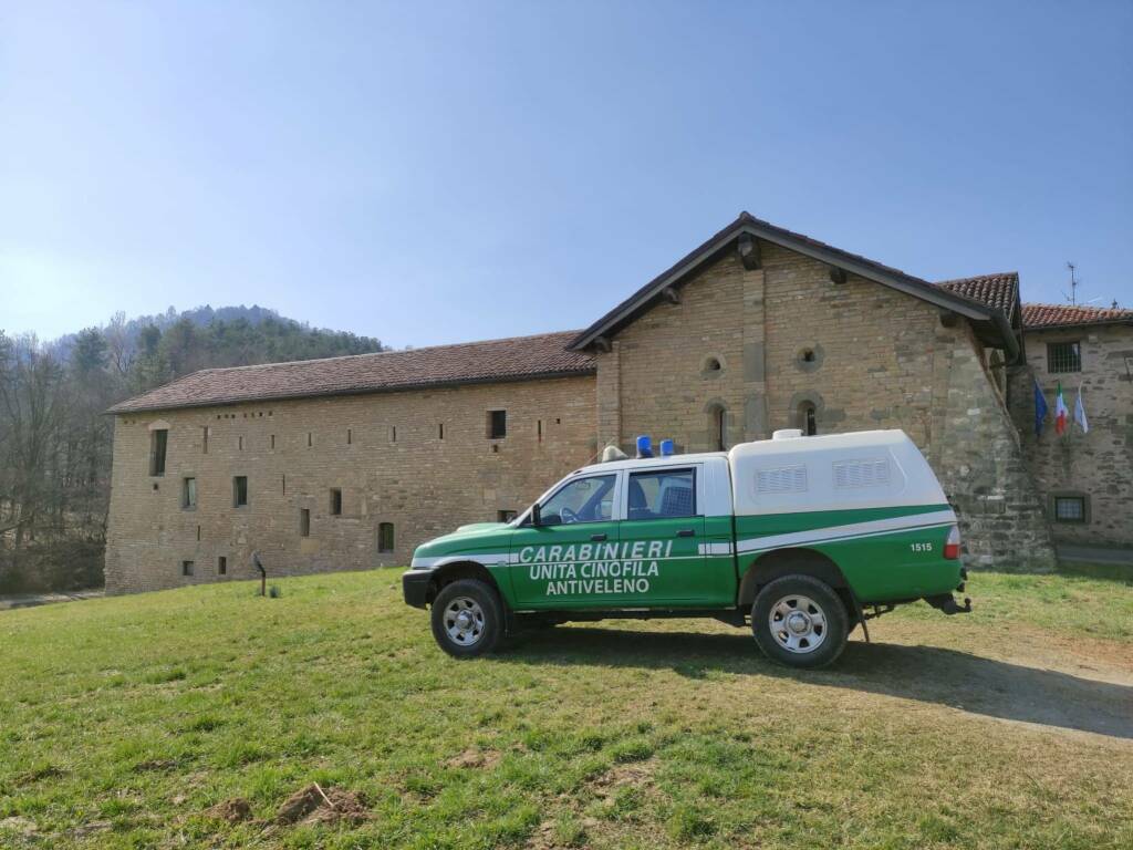 carabinieri forestali