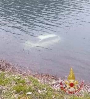 Ranzanico, auto finisce nel lago