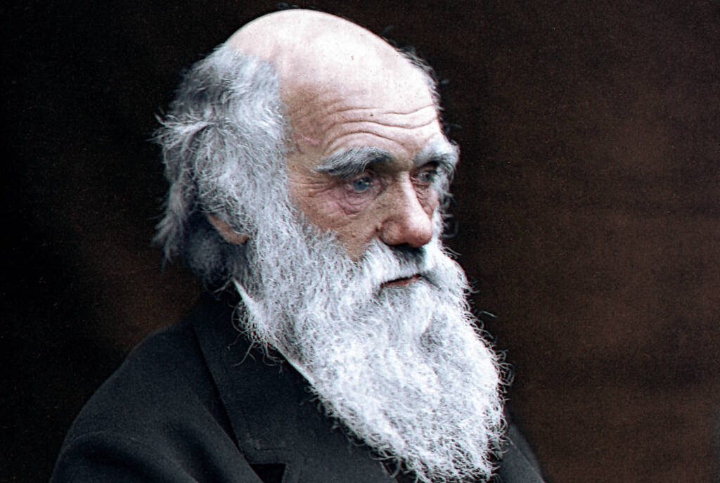 Charles Darwin, lo scienziato che ha determinato un metodo - BergamoNews