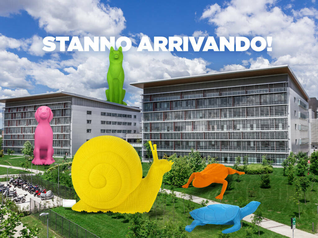 Gioco Colore Bergamo, il nuovo parco-giardino per i bimbi ricoverati al Papa Giovanni