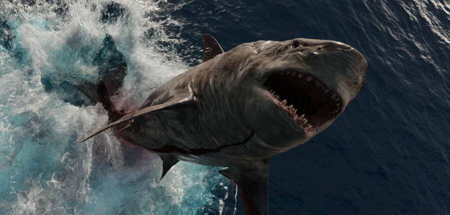 Il week-end al cinema: da “Shark 2” a “Black bits”