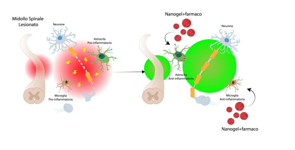 nanotecnologie 