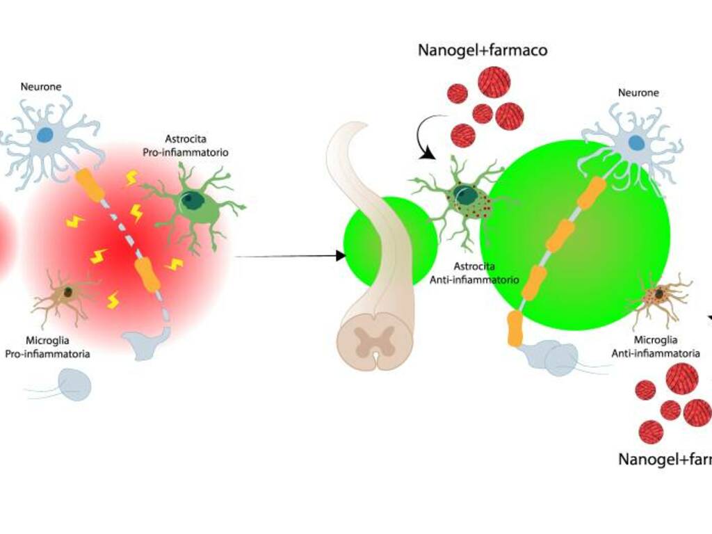 nanotecnologie 