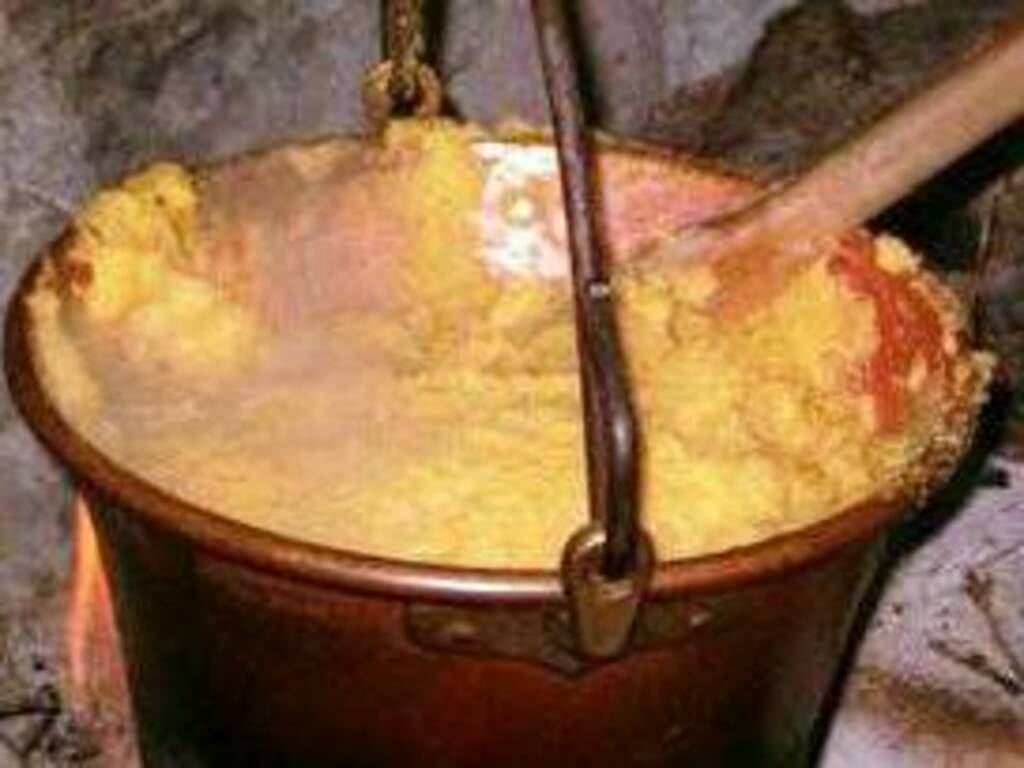 La polenta nel polverone: è davvero cancerogena?