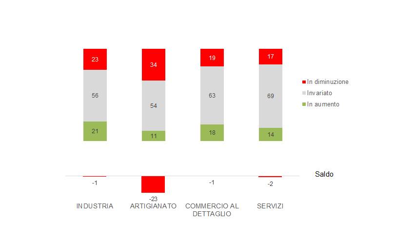 camera di commercio grafici 