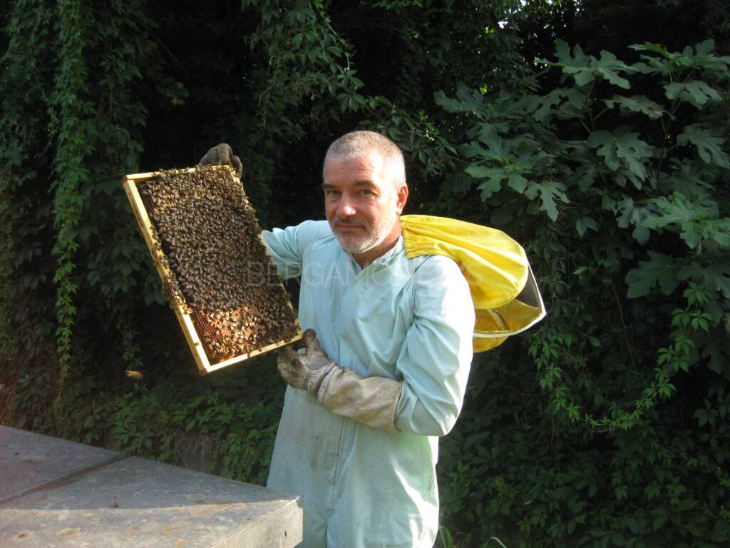 Irvano Fortini apicoltore
