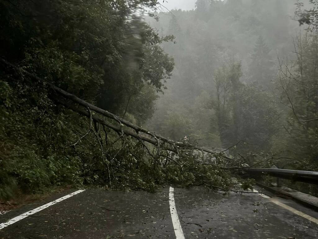 maltempo val brembana alberi caduti (Facebook)